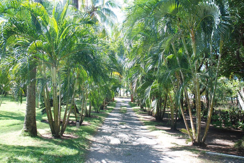 Beso Del Viento (Adults Only) Hotel Parrita Exterior photo
