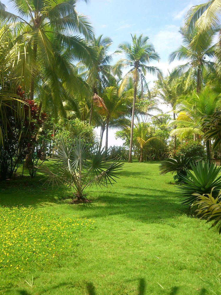 Beso Del Viento (Adults Only) Hotel Parrita Exterior photo